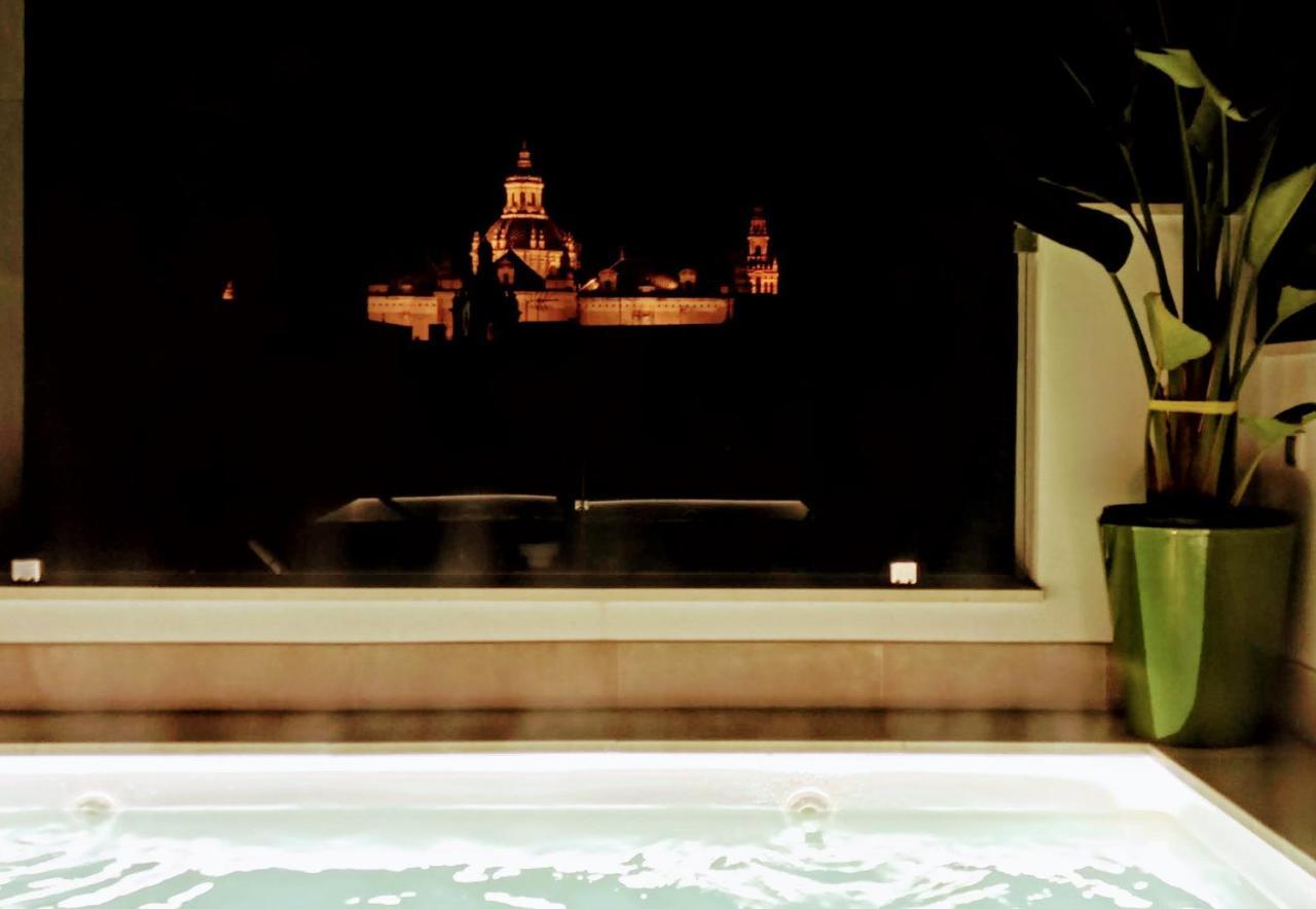 Luxury Penthouse With Private Pool Setas Monument Apartment Севиля Екстериор снимка