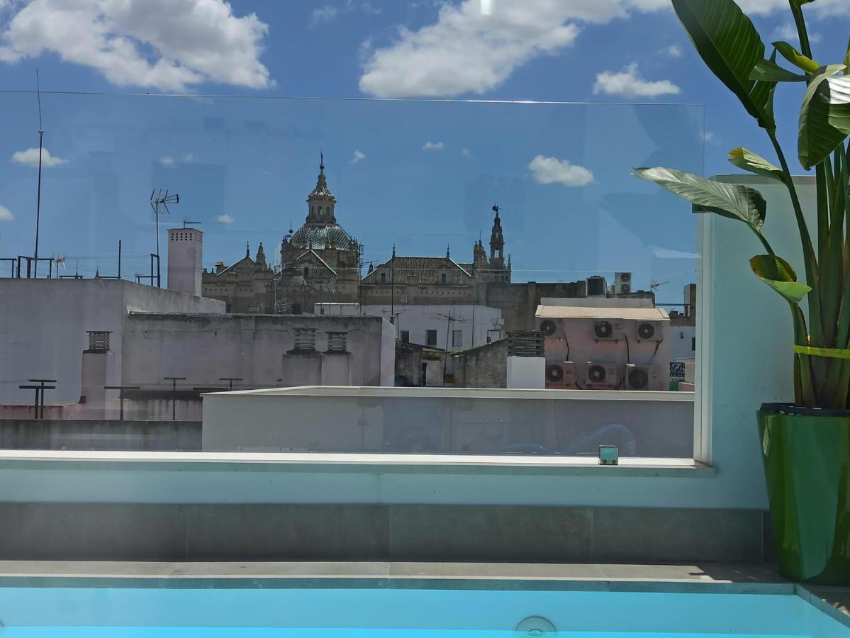 Luxury Penthouse With Private Pool Setas Monument Apartment Севиля Екстериор снимка